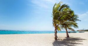 Intercambio de Información con Paraísos Fiscales